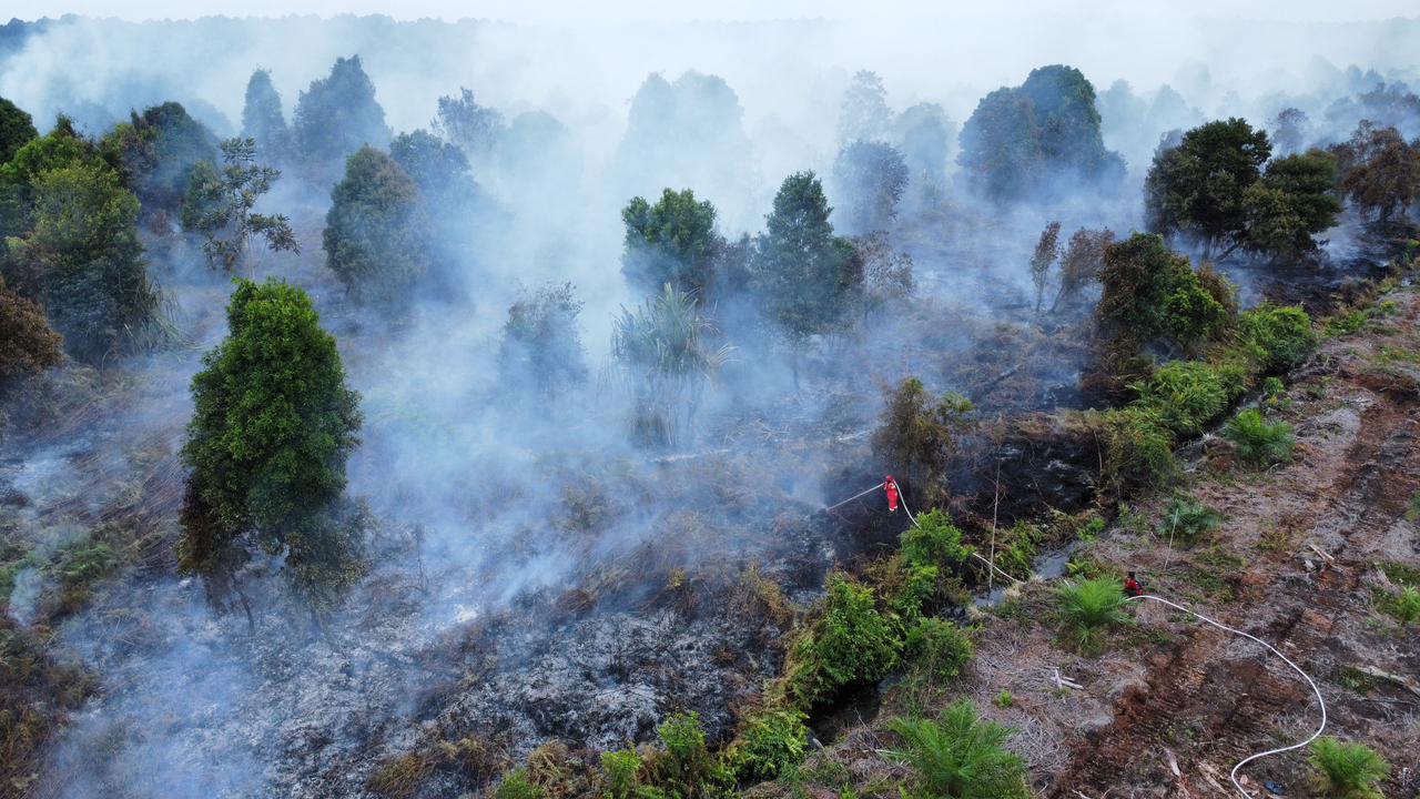 Kemenhut dan Tim Pemadam Gabungan Darat Juga Udara Tangani Kebakaran Hutan Riau