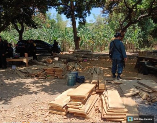Kayu Ilegal Hasil Pembalakan Liar di Taman Nasional Baluran. Foto : Istimewa 