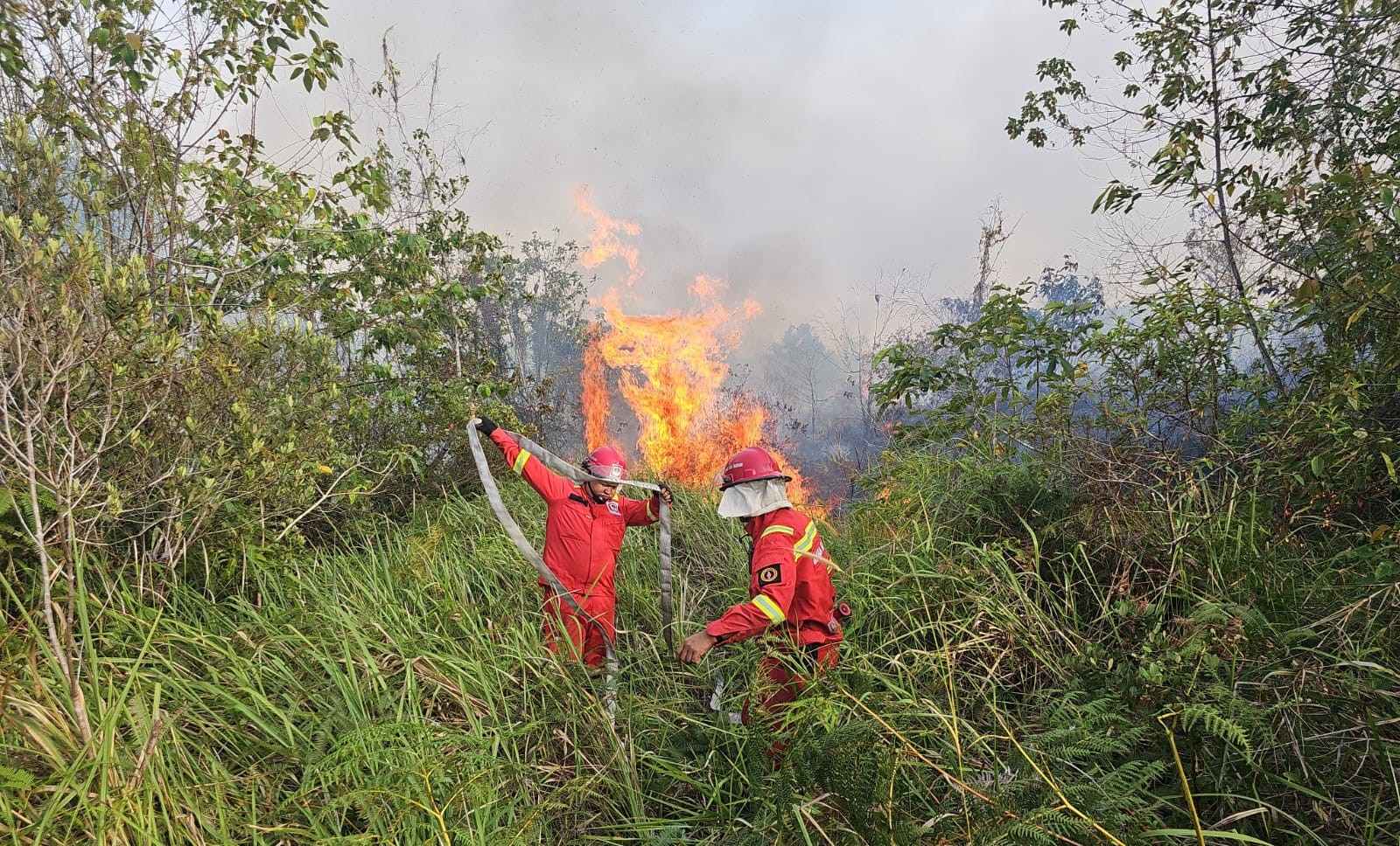 Tim Manggala Agni Lakukan Pemadaman Api di Kawasan Hutan Sumatra. Foto : Gakkum Kehutanan 