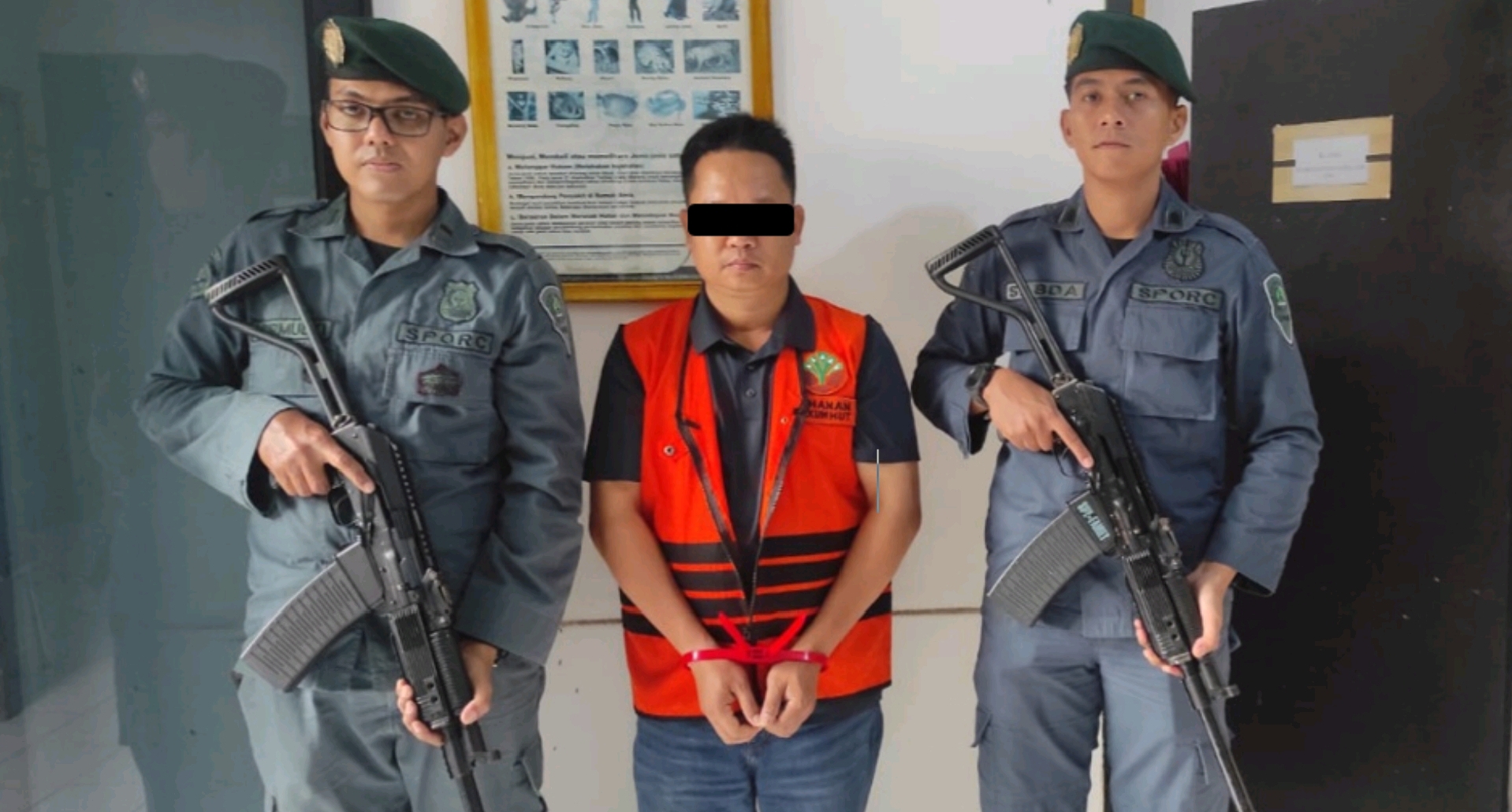 WNA Vietnam Ditangkap Gakkum Kehutanan Selundupkan Ratusan Kilogram Sisik Trenggiling